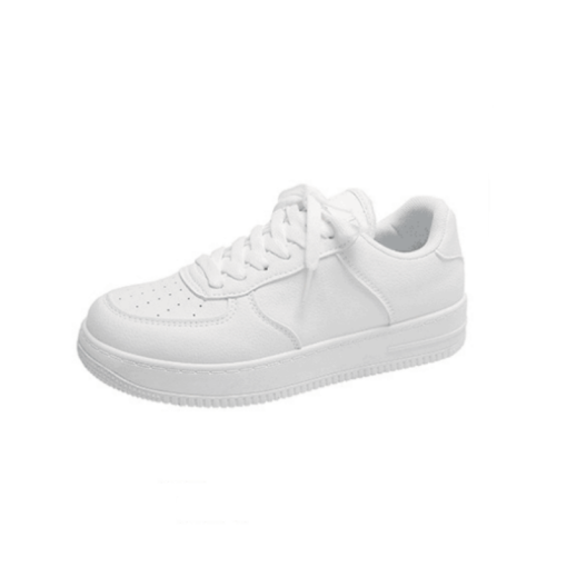 이달의 핫 아이템 Swank